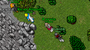 Kayvie on screen