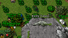 Kelly Tavoc on screen