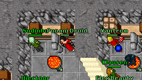 Punani Druid on screen