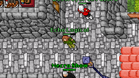 Echo Logical on screen