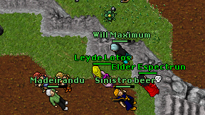 Will Maximum on screen