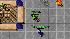 Tizu Morras on screen
