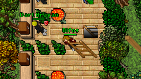 Bifos on screen