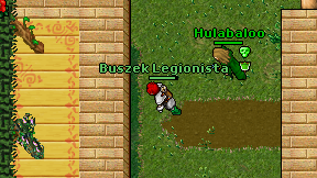 Buszek Legionista on screen