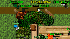 Hifitoh on screen