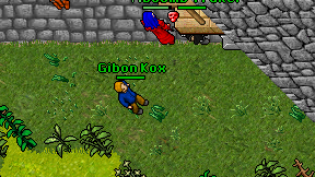 Gibon Kox on screen