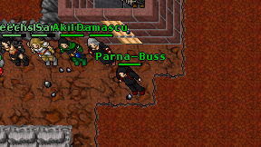 Parna-Buss on screen
