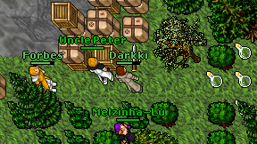 Darkki on screen