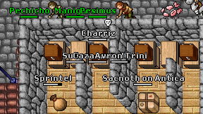 Cazasarnol on screen