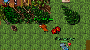 Dead Dum on screen
