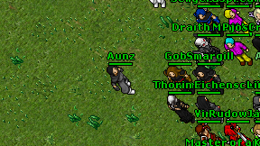 Aunz on screen