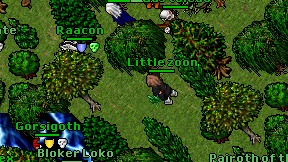 Little zoon on screen