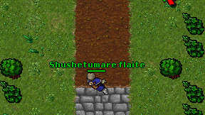 Shushetumare flaite on screen