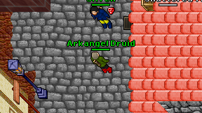 Arkangel Druid on screen