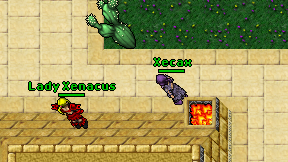 Xecax on screen