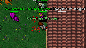 Revenge Warrior on screen
