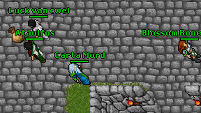 Carta Mord on screen