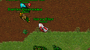 Nirey Eler on screen