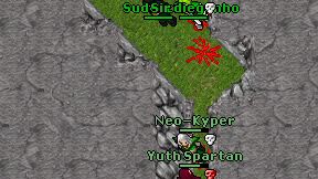 Sudeccion on screen