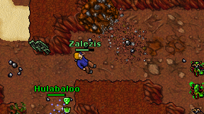 Zalezis on screen