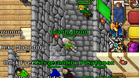 Diabla druid on screen