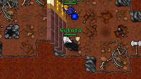 Sutoto on screen