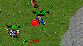Meetrod on screen
