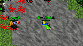 Petitekk on screen