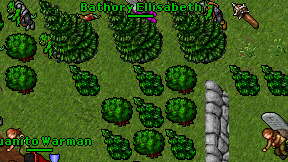 Bathory Ellisabeth on screen