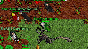 Tomy Angelo on screen