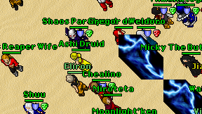 Ashi Druid on screen