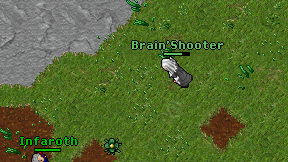 Brain'Shooter on screen