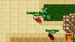 Knight Geert on screen