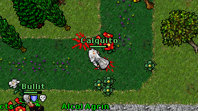 Calquito on screen