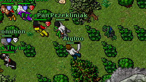 Aigloo on screen