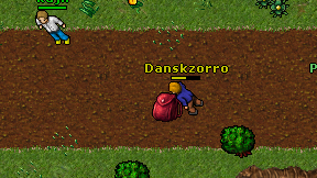 Danskzorro on screen