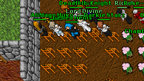 Gebed Henis on screen