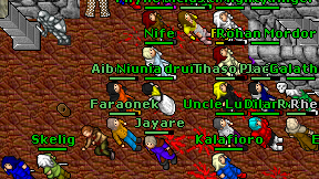 Niunia druid on screen