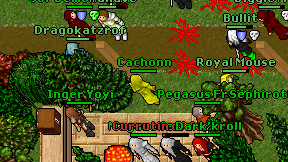 Cachonn on screen