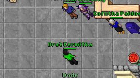 Brat Kermitka on screen
