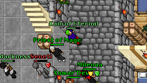 Kain of Eternal on screen