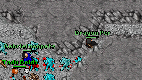 Dragon Per on screen
