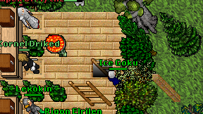 Ice Goku on screen