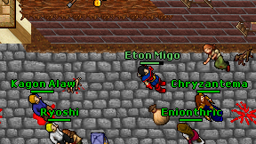 Eton Migo on screen