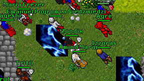 Zoodix on screen