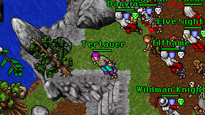 Tertauer on screen