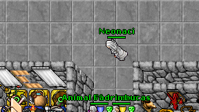 Neonaci on screen