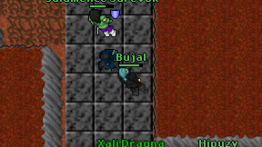 Bujal on screen