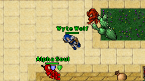 Wyte Wolf on screen