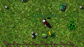 Abracaxuta on screen